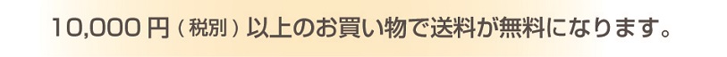 1万円以上のお買い物で送料無料